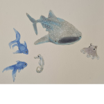 sharkzz!!