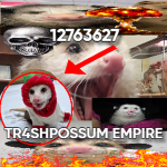 TR4SHPOSSUM EMPIRE