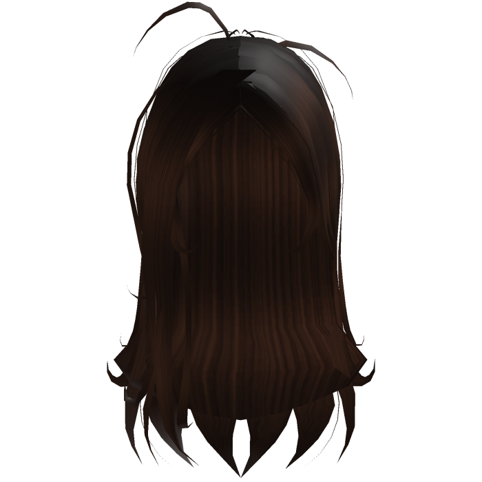 Dark Brown Scruffy Long Shag
