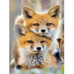 xXAlphaZoeGamerXx CLUB