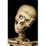 SKELLYWELLYS.