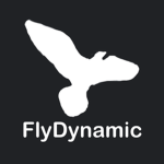 FlyDynamic Airline