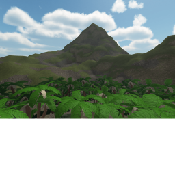 Mountain Cove