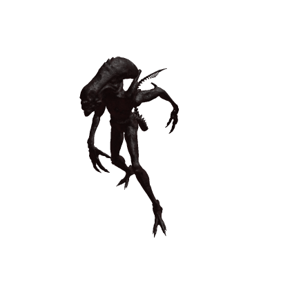 Xenomorph Skeleton