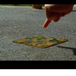 The cheese touch group