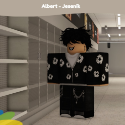 Albert Supermarket | Jeseník