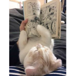 <,3 :p