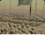 قروب الرجاجيل السعوديه لا يف