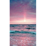 Anni_299