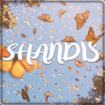 Shandi's