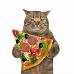 Pizza_Cat