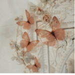 aurela ɞ