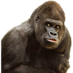 Gorilla Gram