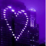 purple curlys '