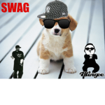 ~{RB} SWAG PUPPIES~