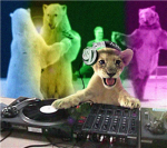 Go dj go!
