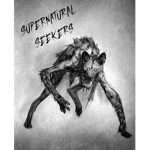Supernatural Seekers