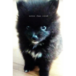 Oreo The Dog Fan Club