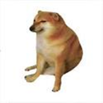 Cheems doge dogs