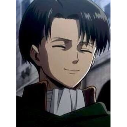 Attack on titan: Destiny (Scouts)