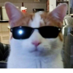 Hi person of the world