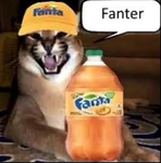 numrumfun
