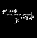 Perfect Execution Gymnasts