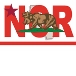 New California Republic Invasion Force