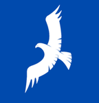 Mayoral Republic of Reno