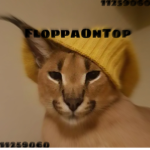 FloppaOnTop