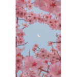 Mia’s Blossoms