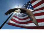 Free Continental Army