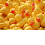 Ducky ducko