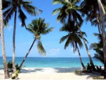Southwest_florida