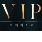 VIP패스