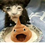 Mopoli