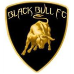 Black Bulls F.C.