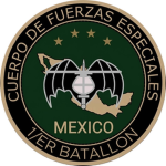 CFE 1/er Batallon
