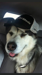 Smudgey fan group
