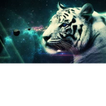 The Greatful Tigers