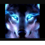 The Neon Foxes! :3