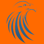 Sydney Falcon Basketball Travel Team (S.A)