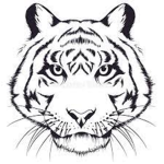 [Tiger_Group]