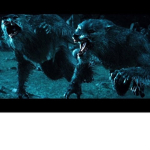Werewolves forever baby!!