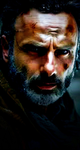 The walking dead fan twd