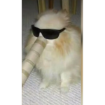 Jujuisthebeast
