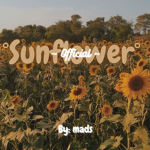 •Sunflower• Official