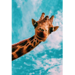 My Giraffes