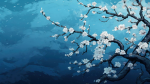 Jajaas Studios