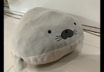 Muyoun_funn